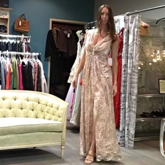 🔻Hoaglund Champagne Gown - Picture 8 of 8